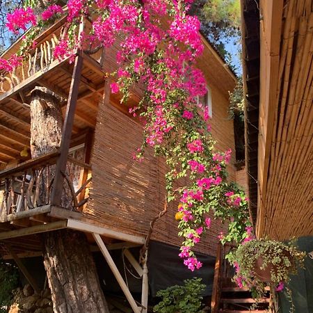 Large Bungalow With Sea View In Kabak Bay, Oeluedeniz فتحية المظهر الخارجي الصورة