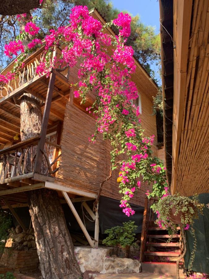 Large Bungalow With Sea View In Kabak Bay, Oeluedeniz فتحية المظهر الخارجي الصورة