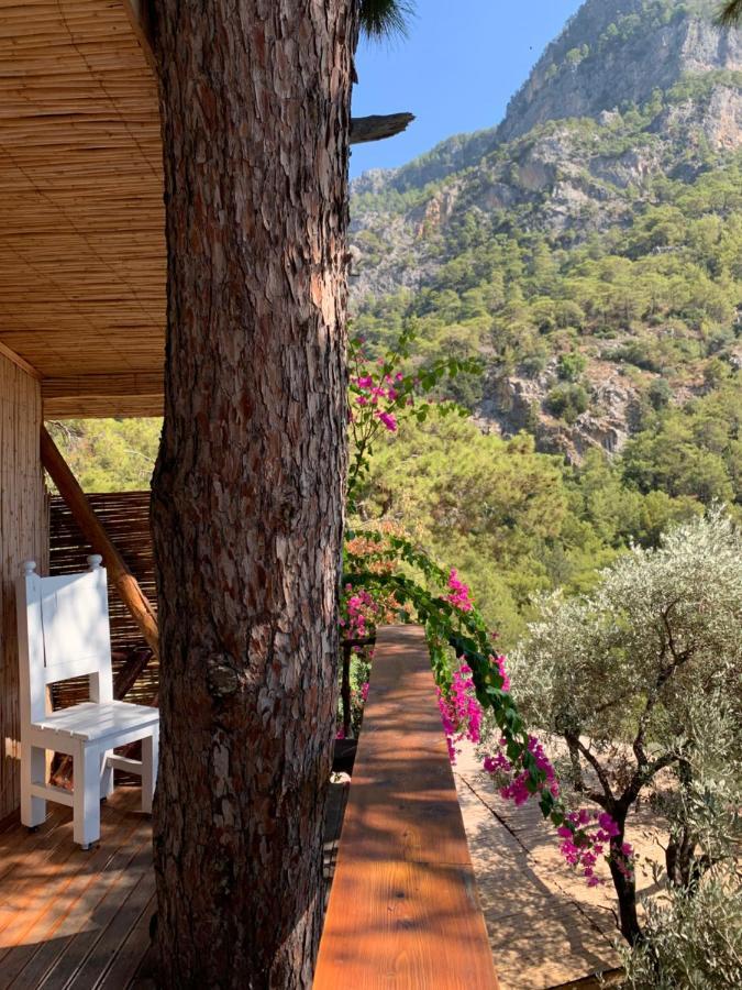 Large Bungalow With Sea View In Kabak Bay, Oeluedeniz فتحية المظهر الخارجي الصورة